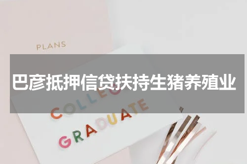 巴彦抵押信贷扶持生猪养殖业