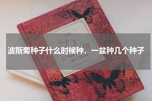 波斯菊种子什么时候种，一盆种几个种子