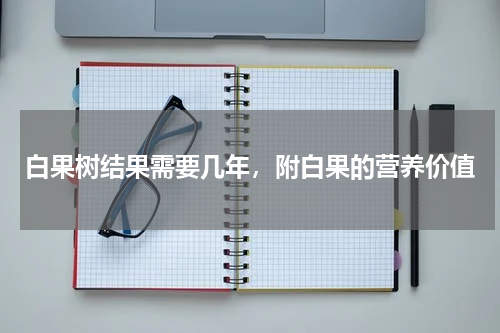 白果树结果需要几年，附白果的营养价值