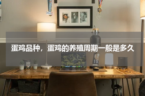 蛋鸡品种，蛋鸡的养殖周期一般是多久