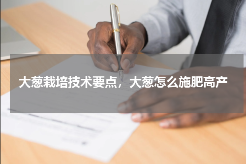 大葱栽培技术要点，大葱怎么施肥高产