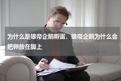 为什么是雄帝企鹅孵蛋，雄帝企鹅为什么会把卵放在脚上