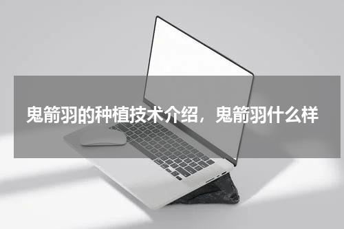 鬼箭羽的种植技术介绍，鬼箭羽什么样