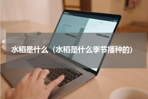 水稻是什么（水稻是什么季节播种的）