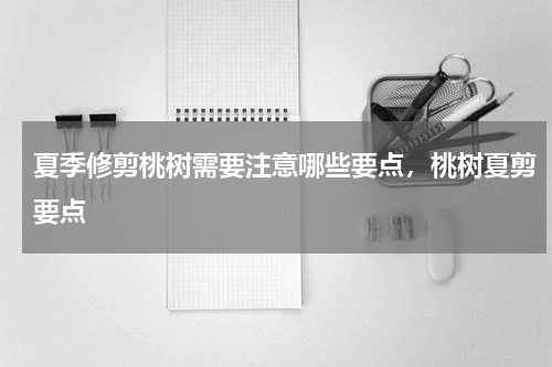 夏季修剪桃树需要注意哪些要点，桃树夏剪要点