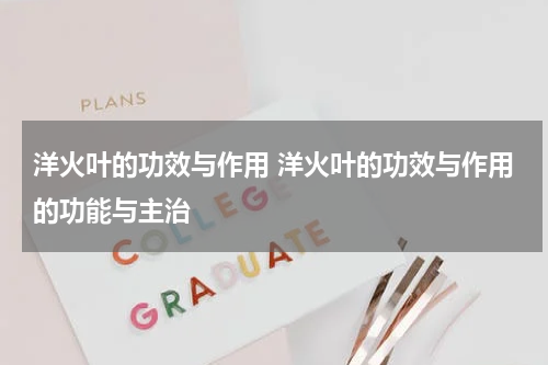 洋火叶的功效与作用 洋火叶的功效与作用的功能与主治