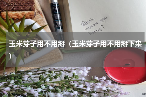 玉米芽子用不用掰（玉米芽子用不用掰下来）