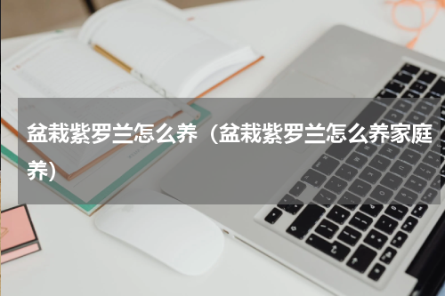 盆栽紫罗兰怎么养（盆栽紫罗兰怎么养家庭养）