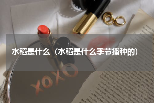 水稻是什么（水稻是什么季节播种的）
