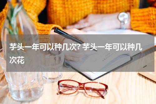 芋头一年可以种几次? 芋头一年可以种几次花