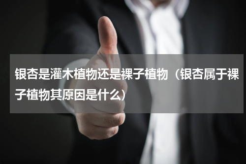 银杏是灌木植物还是裸子植物（银杏属于裸子植物其原因是什么）