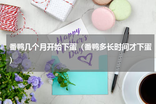 番鸭几个月开始下蛋（番鸭多长时间才下蛋）