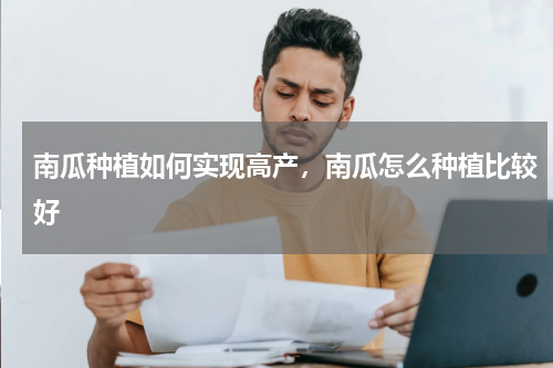 南瓜种植如何实现高产，南瓜怎么种植比较好