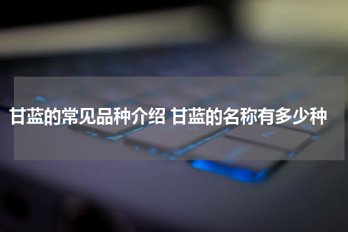 甘蓝的常见品种介绍 甘蓝的名称有多少种