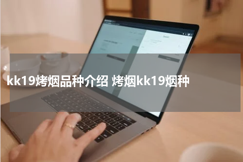 kk19烤烟品种介绍 烤烟kk19烟种