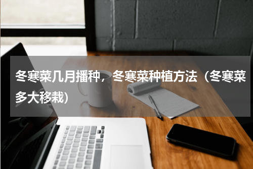 冬寒菜几月播种，冬寒菜种植方法（冬寒菜多大移栽）