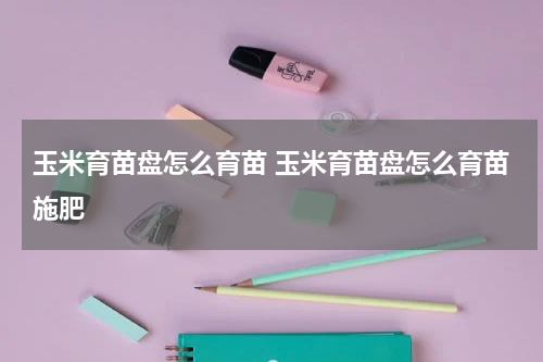 玉米育苗盘怎么育苗 玉米育苗盘怎么育苗施肥
