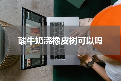 酸牛奶浇橡皮树可以吗