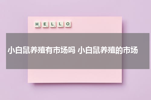 小白鼠养殖有市场吗 小白鼠养殖的市场