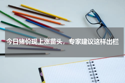 今日猪价现上涨苗头，专家建议这样出栏