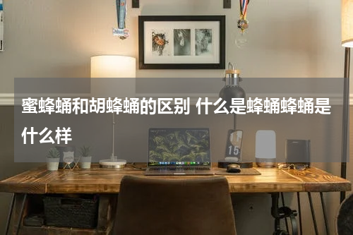 蜜蜂蛹和胡蜂蛹的区别 什么是蜂蛹蜂蛹是什么样