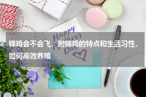 锦鸡会不会飞，附锦鸡的特点和生活习性，如何高效养殖