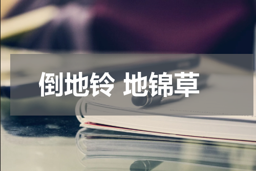 倒地铃 地锦草