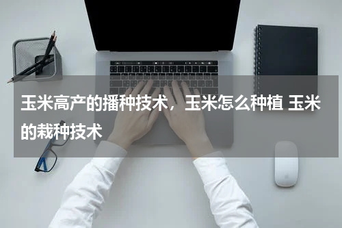 玉米高产的播种技术，玉米怎么种植 玉米的栽种技术