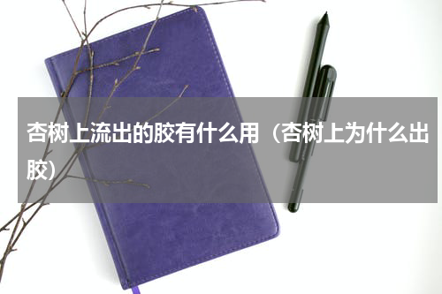 杏树上流出的胶有什么用（杏树上为什么出胶）