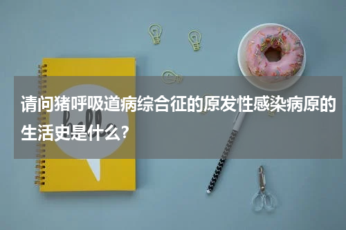 请问猪呼吸道病综合征的原发性感染病原的生活史是什么？