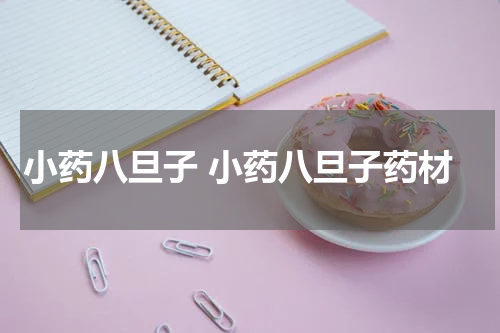 小药八旦子 小药八旦子药材
