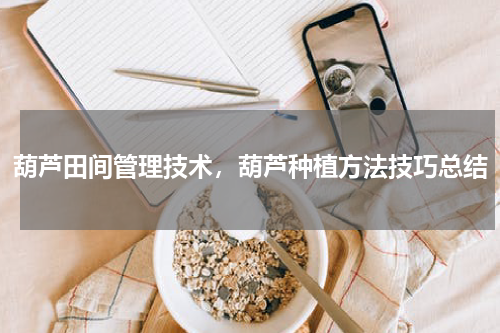 葫芦田间管理技术，葫芦种植方法技巧总结