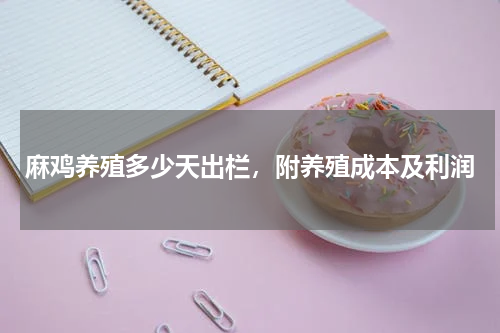 麻鸡养殖多少天出栏，附养殖成本及利润