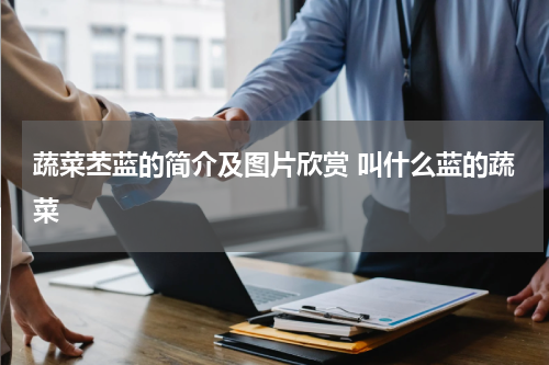 蔬菜苤蓝的简介及图片欣赏 叫什么蓝的蔬菜