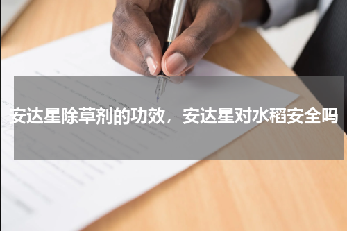 安达星除草剂的功效，安达星对水稻安全吗