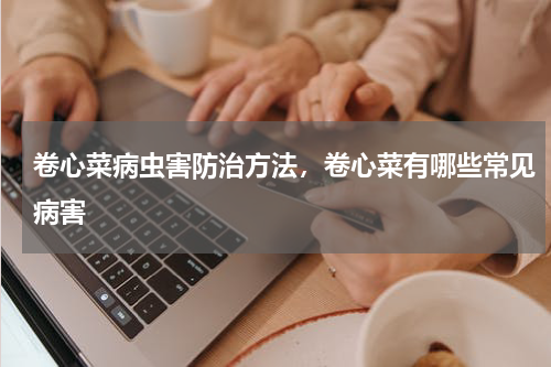 卷心菜病虫害防治方法，卷心菜有哪些常见病害