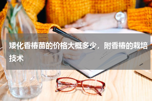 矮化香椿苗的价格大概多少，附香椿的栽培技术