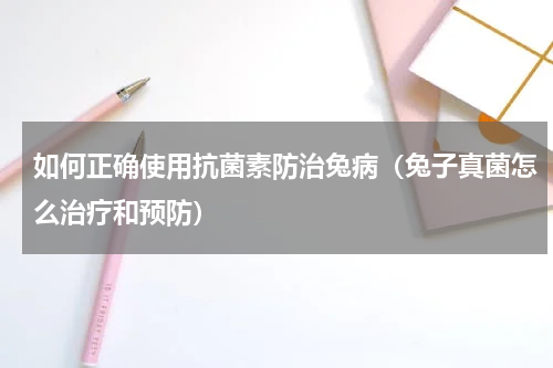 如何正确使用抗菌素防治兔病（兔子真菌怎么治疗和预防）
