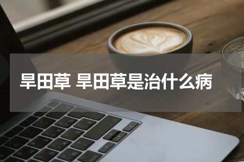 旱田草 旱田草是治什么病