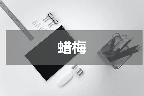 蜡梅