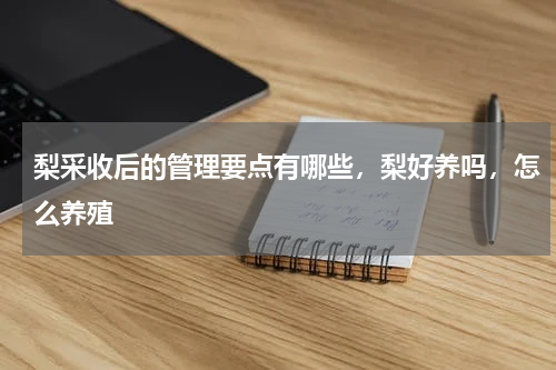 梨采收后的管理要点有哪些，梨好养吗，怎么养殖