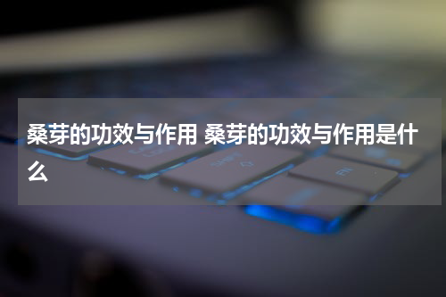 桑芽的功效与作用 桑芽的功效与作用是什么