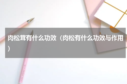 肉松茸有什么功效（肉松有什么功效与作用）