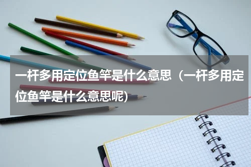 一杆多用定位鱼竿是什么意思（一杆多用定位鱼竿是什么意思呢）