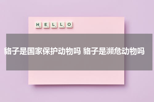 貉子是国家保护动物吗 貉子是濒危动物吗