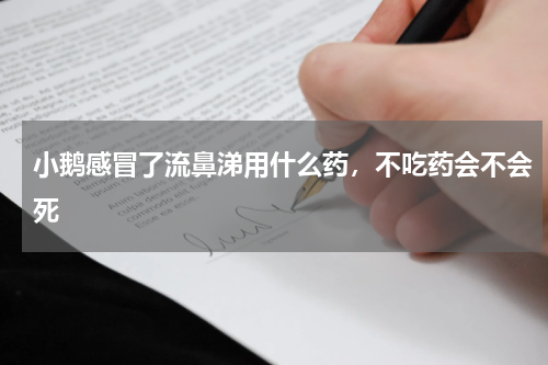 小鹅感冒了流鼻涕用什么药，不吃药会不会死