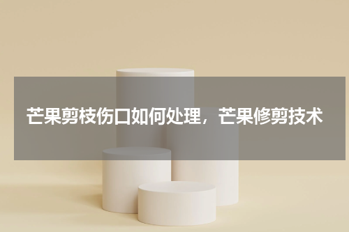 芒果剪枝伤口如何处理，芒果修剪技术