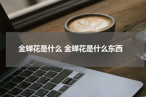 金蝉花是什么 金蝉花是什么东西