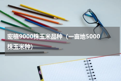 密植9000株玉米品种（一亩地5000株玉米种）
