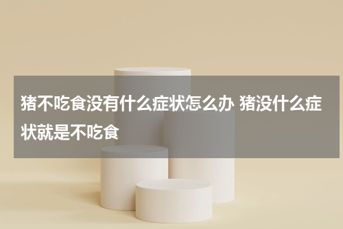 猪不吃食没有什么症状怎么办 猪没什么症状就是不吃食